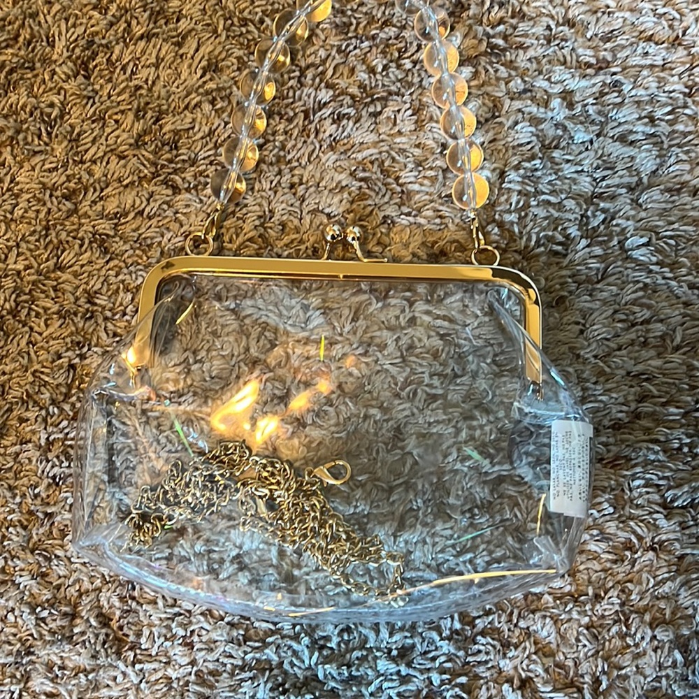 Clear Purse